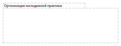 Организация молодежной практики