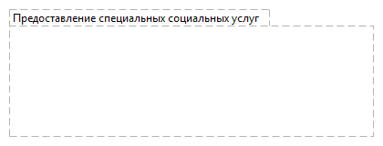 Предоставление специальных социальных услуг