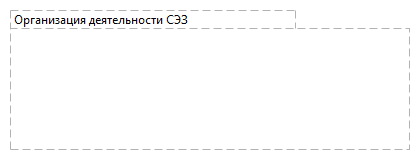 Организация деятельности СЭЗ