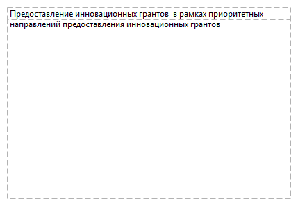 Предоставление инновационных грантов  в рамках приоритетных направлений предоставления инновационных грантов