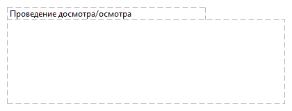 Проведение досмотра/осмотра