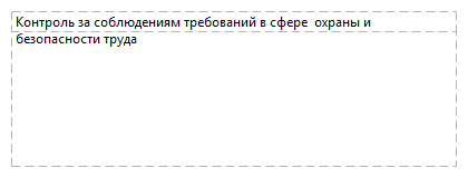 Контроль за соблюдениям требований в сфере  охраны и безопасности труда